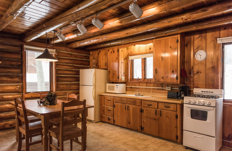 Cabin kitchen at Pitlik's Sand Beach Resort.