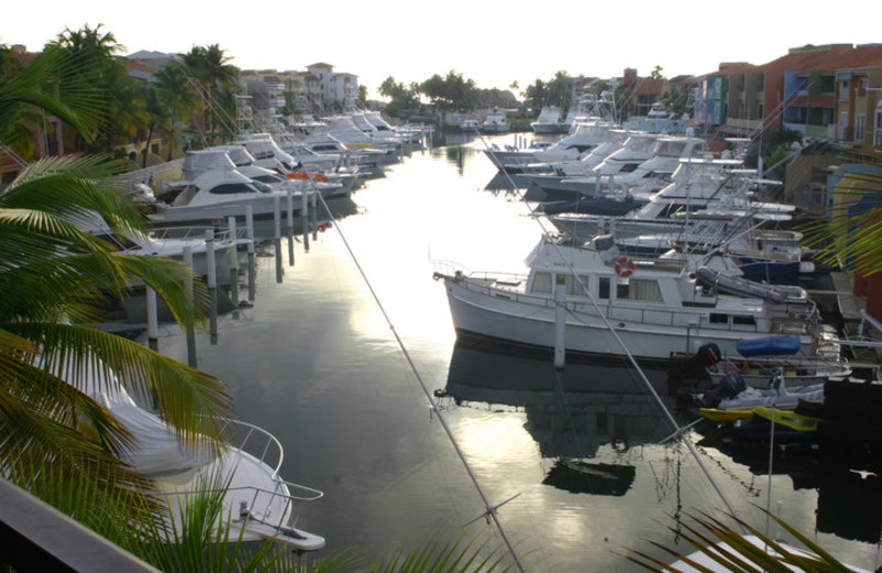 Harbor View of Club Cala de Palmas