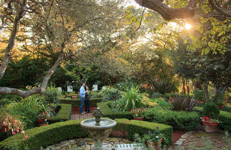 Garden at Old Monterey Inn.