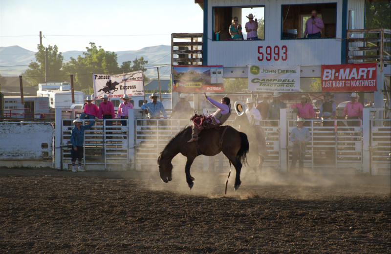 Rodeo near Misty Mountain Lodge.