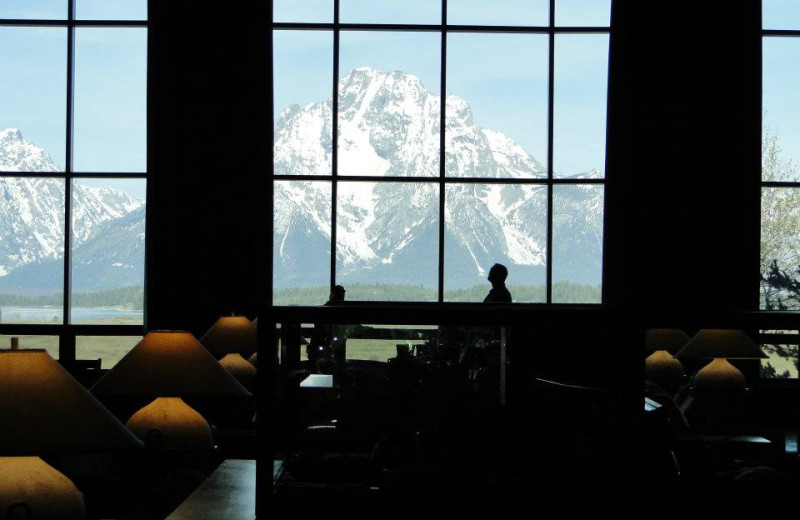 Beautiful views at Jackson Lake Lodge.