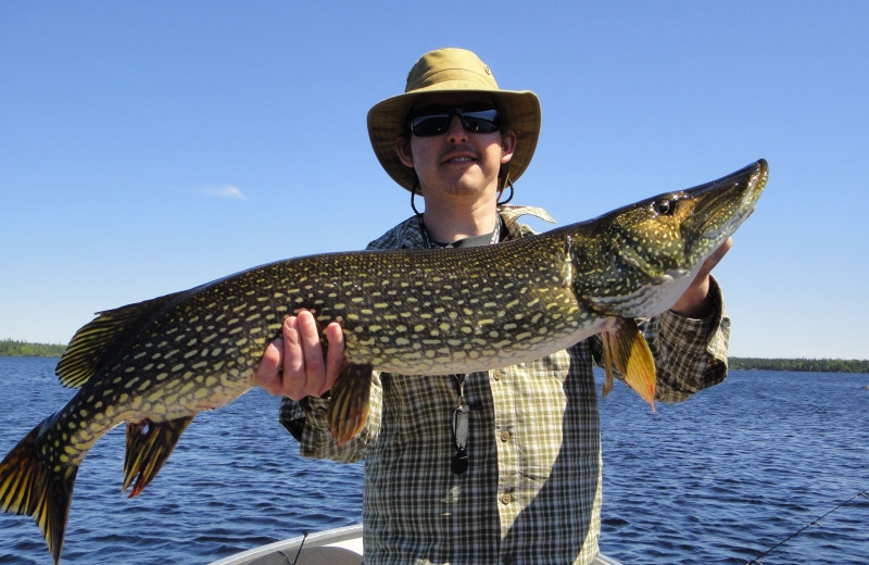 Fishing at Clark's Resorts & Outposts.