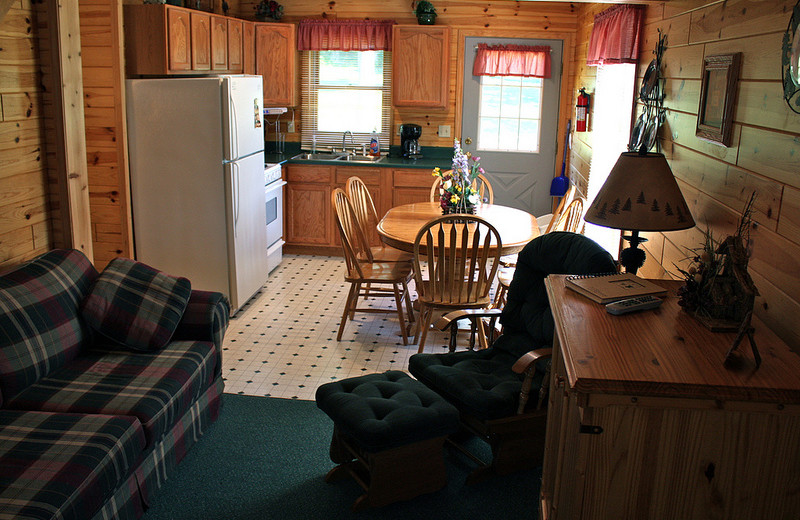 Cabin Living Room at Benjamin's Beaver Creek Resort 