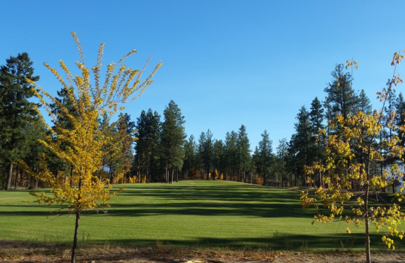 Grounds at Powers Creek Retreat.