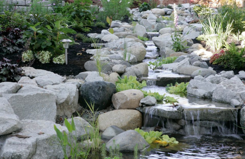 Hotel Garden at Old House Village Hotel and Spa