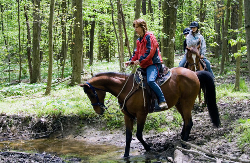 Horseback riding at Bear Paw Adventure.