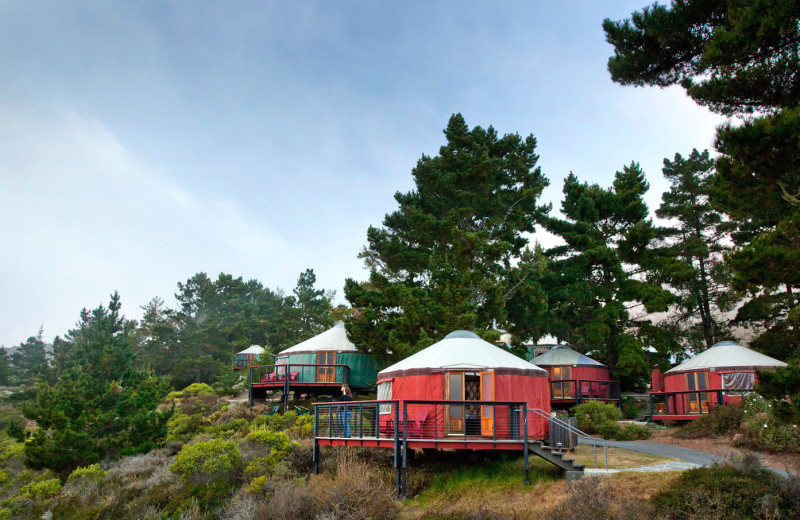 Exterior view of Treebones Resort.