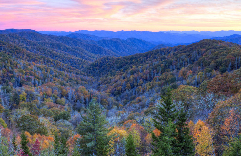 Mountains at High Hampton Resort.