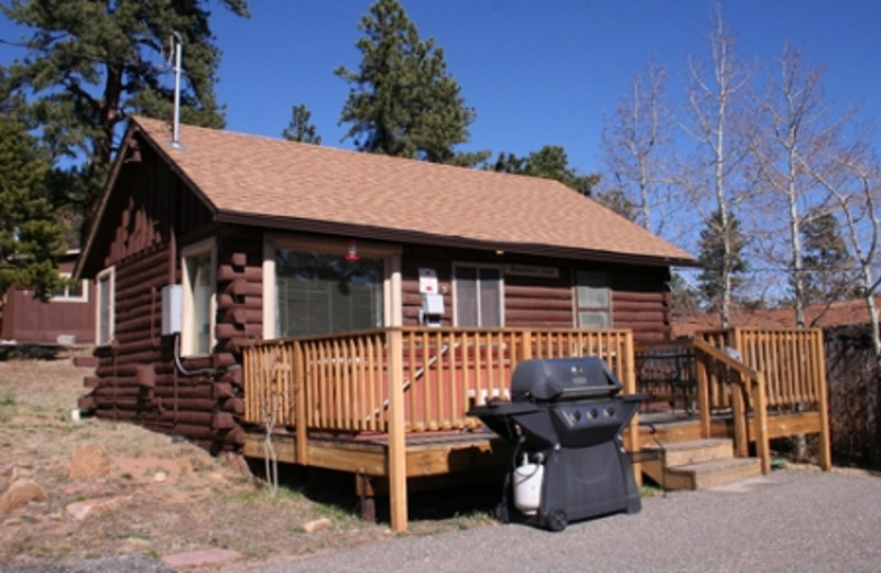 Estes Park Vacation Rentals Cabin Mountain View Cabin 3