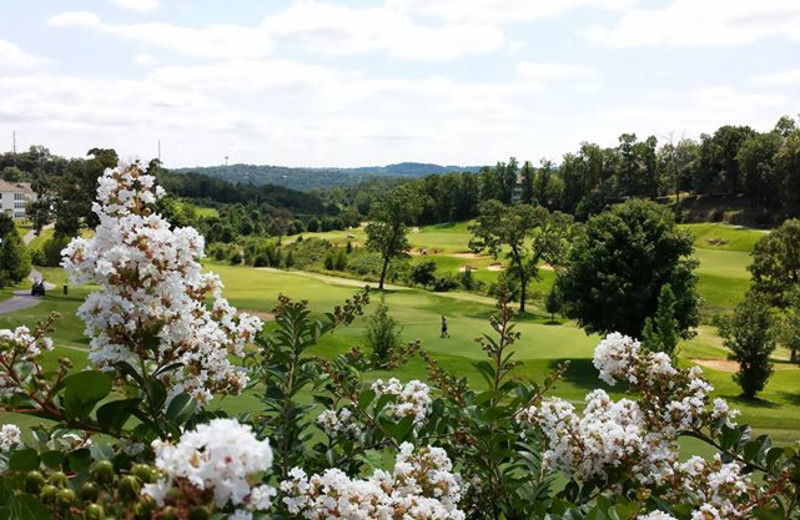 Golf course at Thousand Hills Golf Resort.
