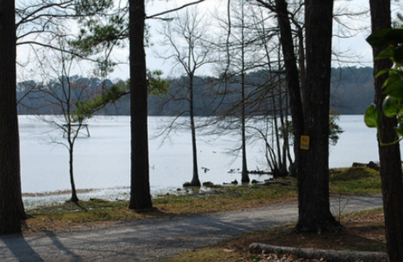 View from Yogi on the Lake.