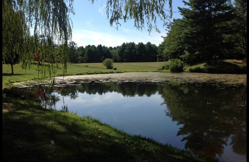 Grounds at Baumann's Brookside Summer Resort.