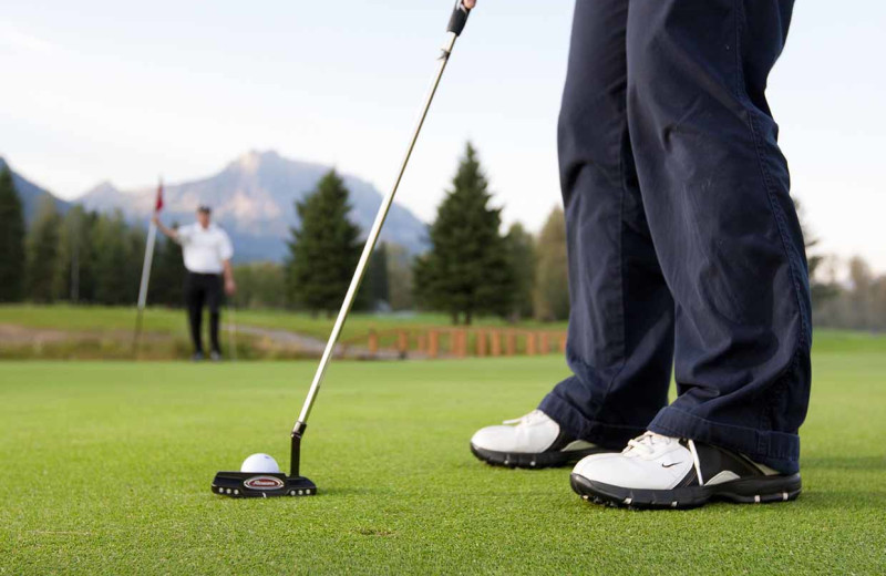 Golf near Fernie Central Reservations.