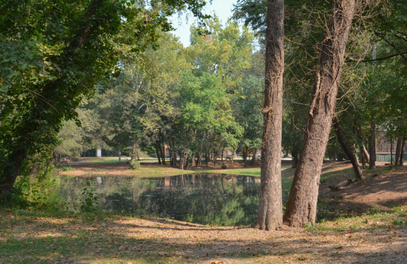 Pond at MarVal Resort.