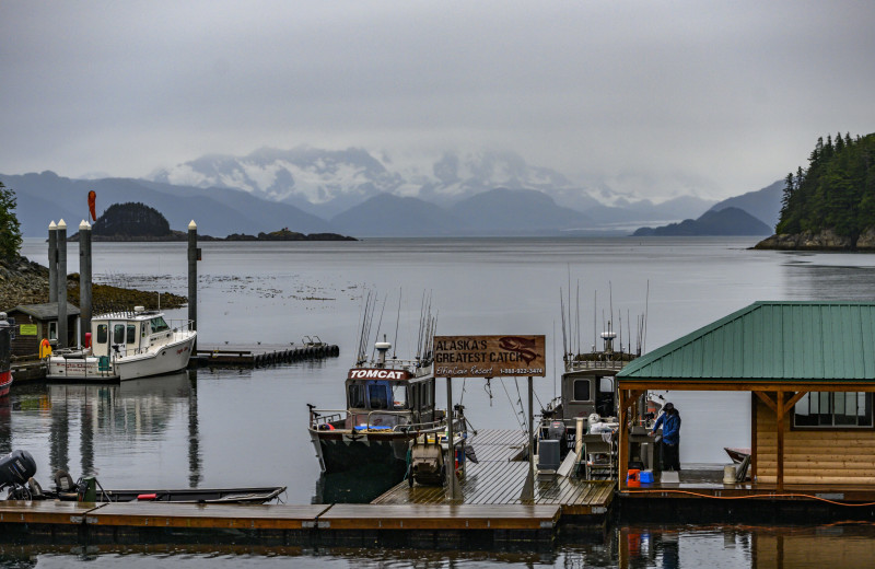 Marina at Elfin Cove Resort.