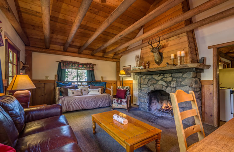 Cabin living room at Arrowhead Pine Rose Cabins.