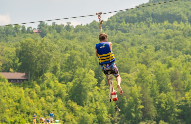 Zip line at Yogi Bear's Jellystone Park™ Camp-Resort: Golden Valley, NC.

