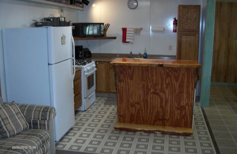 Cabin kitchen at Black Hills Cabins & Motel at Quail's Crossing.