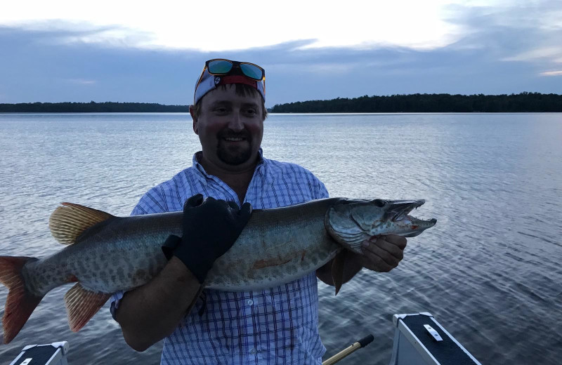 Yes there are some great Muskies in Big Boy Lake