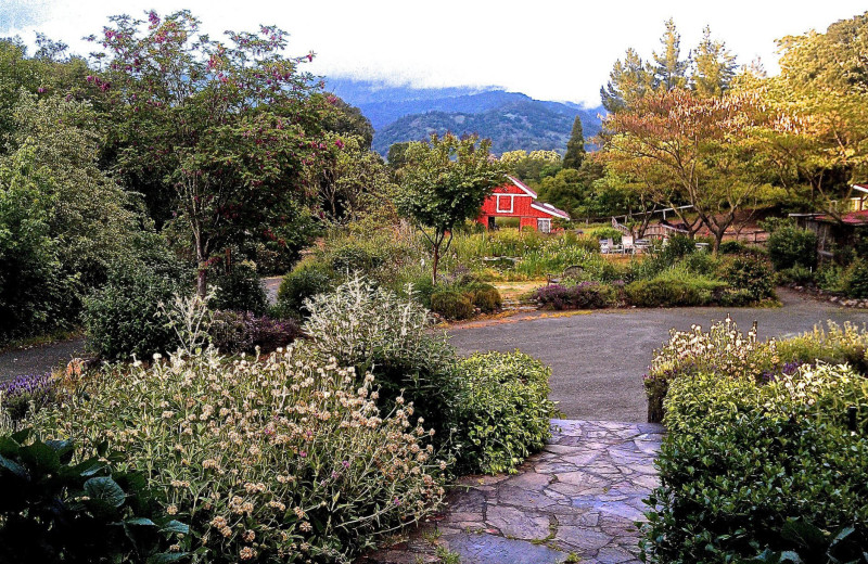 Garden at Meadowlark Country House.