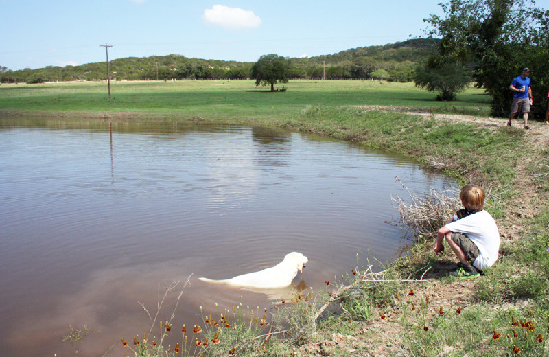 Pets welcome at West 1077 Guest Ranch.