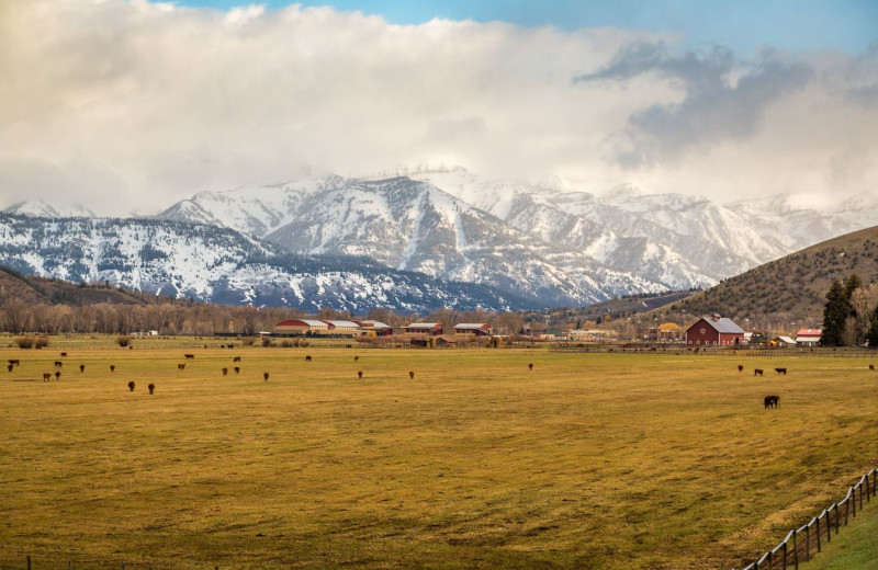 Huff House Inn & Cabins