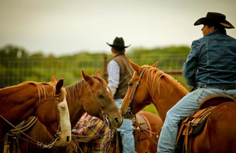 Horseback riding at WB Ranch.