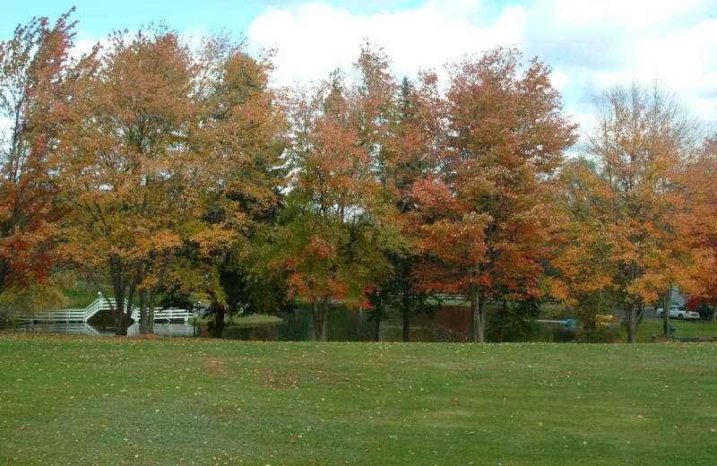 The grounds at Chestnut Grove Resort.