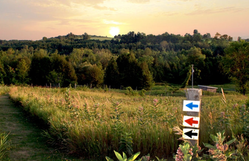 Path at Ste. Anne's Spa.
