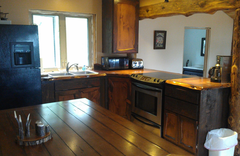 Cabin kitchen at A Wilderness Haven Resort.