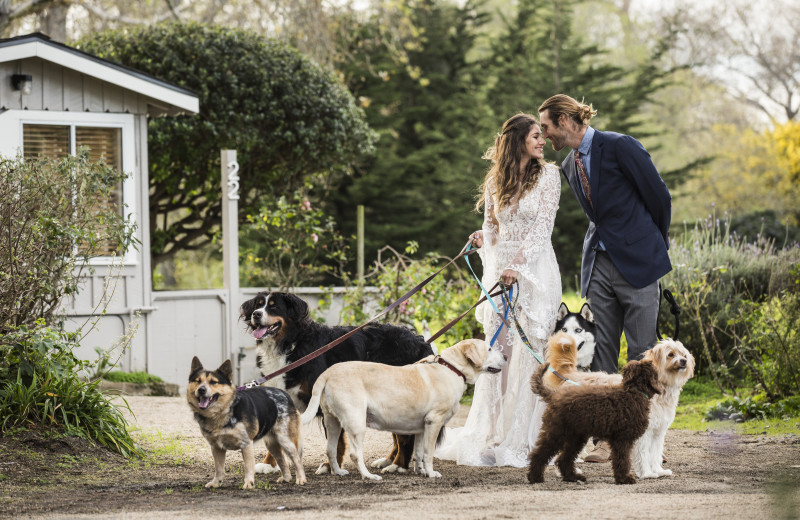 Weddings at Carmel River Inn.