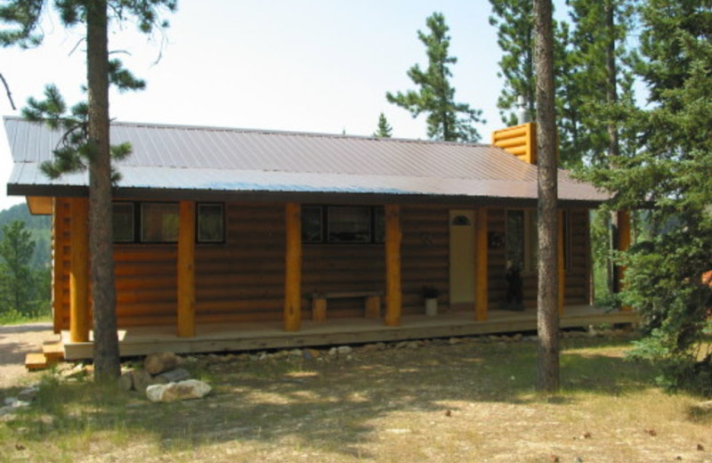 Lead Vacation Rentals Cabin 4 Bedroom Cabin In The South