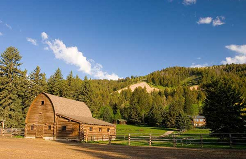 Barn view at Trail Creek Ranch.
