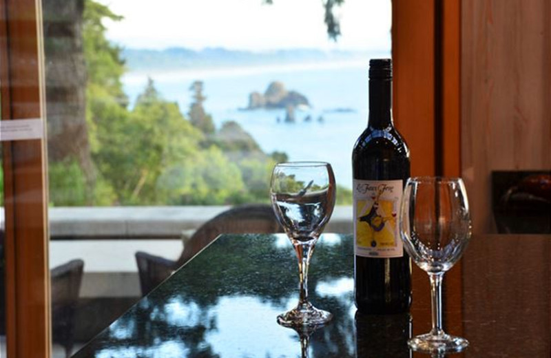 Ocean view at Redwood Coast Vacation Rentals.