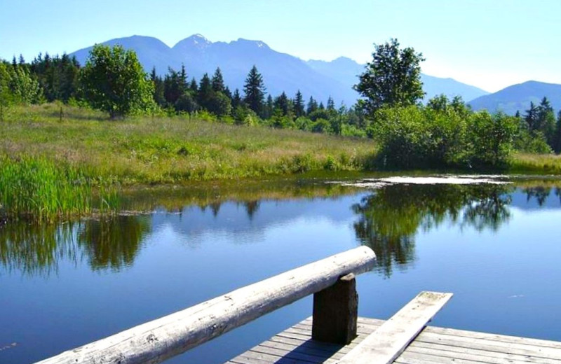 Cabin dock at Olympic View Cabins.