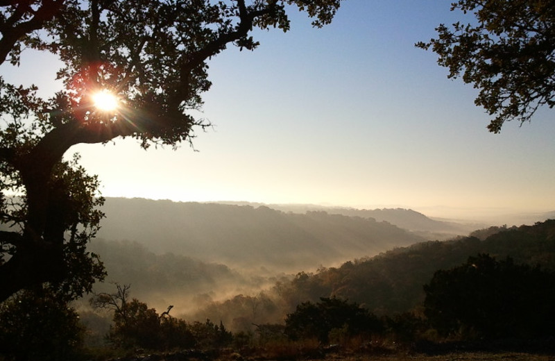 Scenic view from Walnut Canyon Cabins.