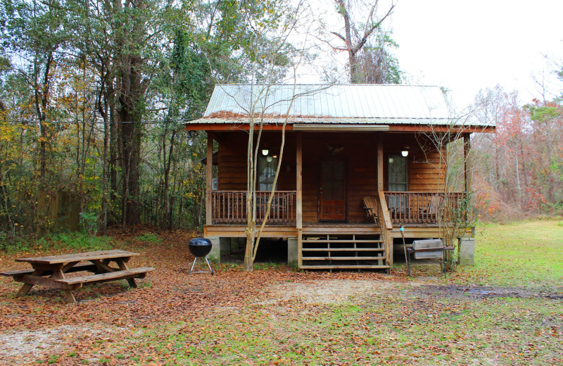 Cabin exterior at Berry Creek Cabins.