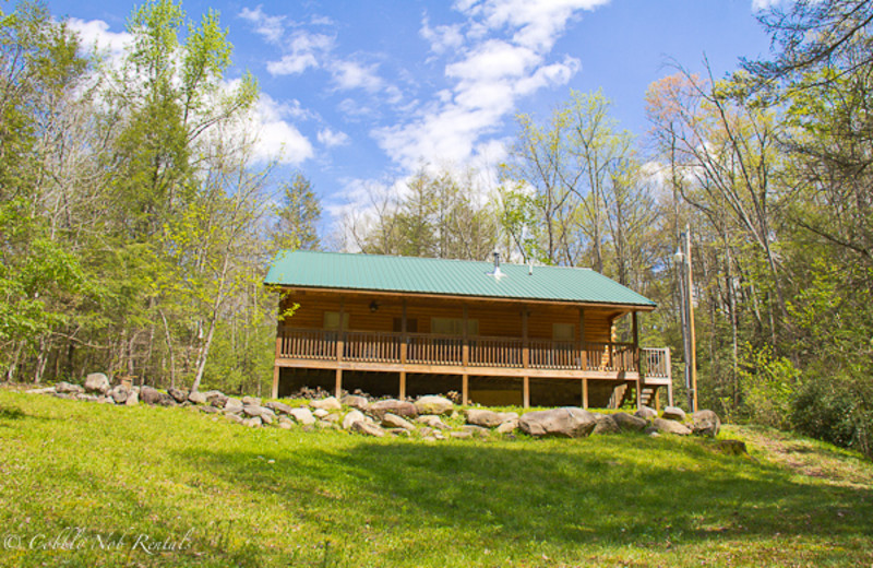 Cobbly Nob Rentals (Gatlinburg, TN) - Resort Reviews ...