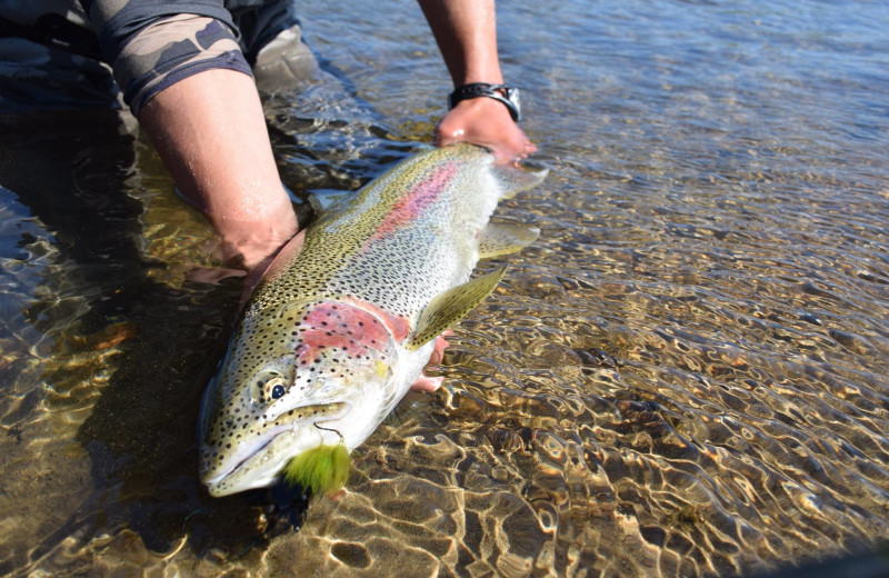 Fishing at Alaska Rainbow Lodge.