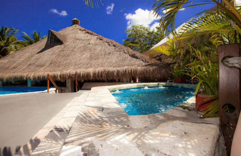 Outdoor Swimming Pool at Casa del Mar Cozumel Hotel & Dive Resort