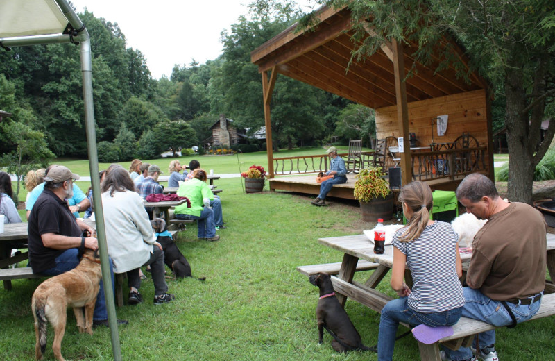 Pet training at Leatherwood Mountains Resort.