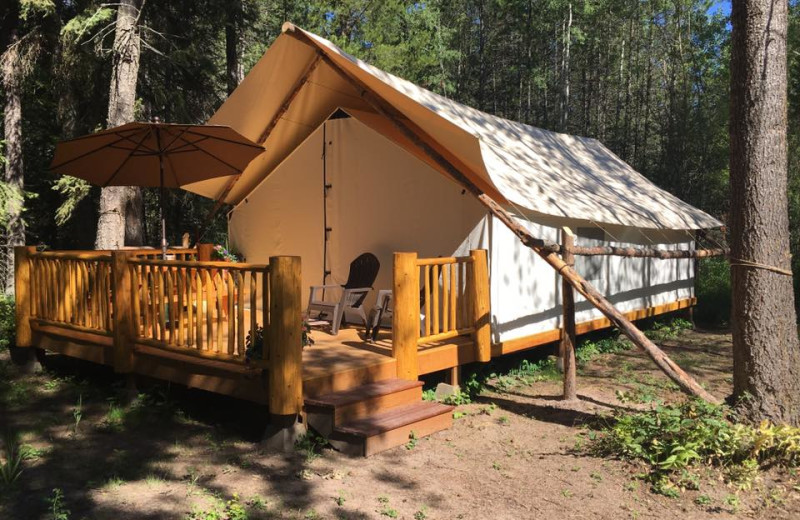 Our luxury glamping tent at North Forty Resort.