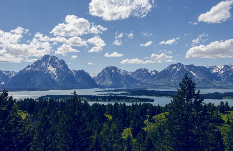 Scenic view at Jackson Hole Lodge.