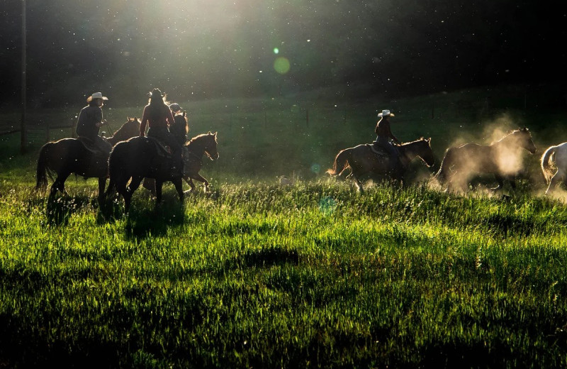 Horseback riding at Colorado Trails Ranch.