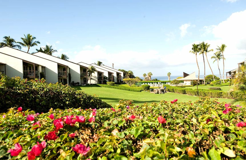 Exterior view of Hale Kamaole Condos.