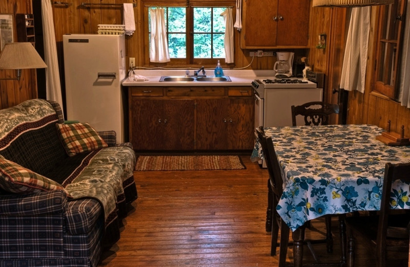 Cabin kitchen at Trout Lake Resort.