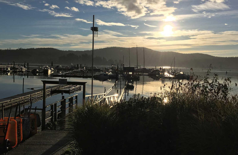 Marina at Sooke Harbour Resort & Marina.