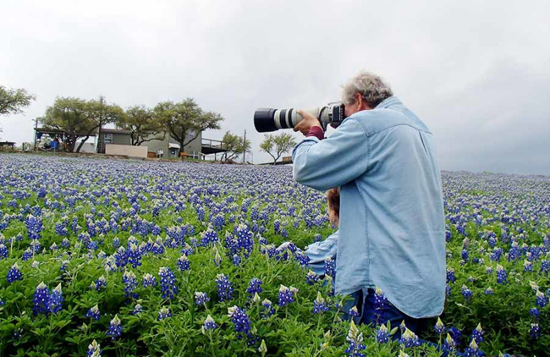 Field of flowers at Painted Sky Inn.