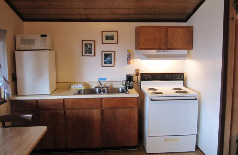 Cabin kitchen at Rain Forest Resort Village.