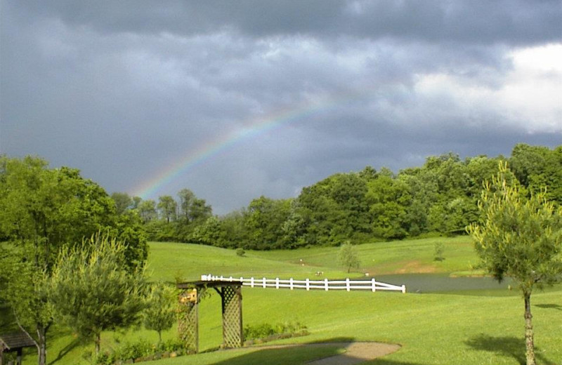 Grounds at Guggisberg Swiss Inn/Amish Country Riding Stables.